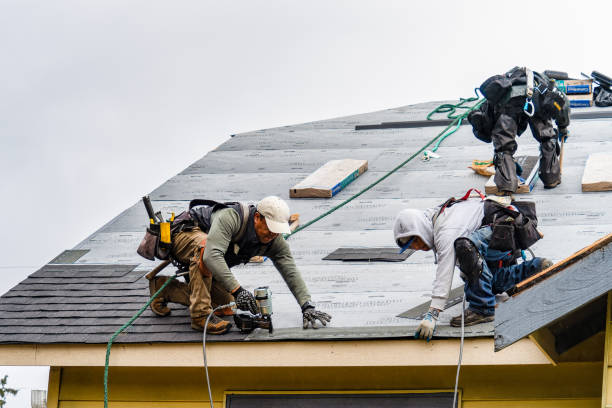Professional Gutter Installation technician working in Dallardsville, TX